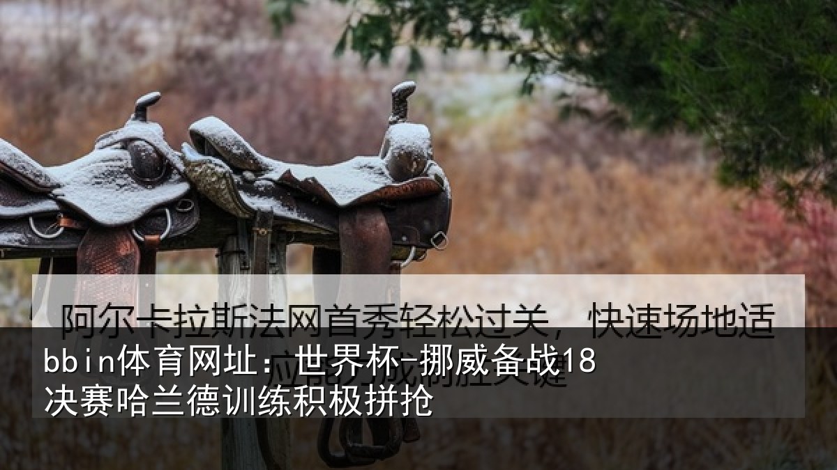 bbin体育网址:世界杯-挪威备战18决赛哈兰德训练积极拼抢