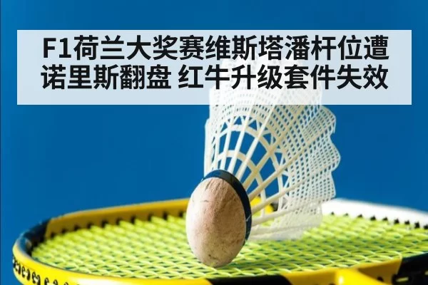 F1荷兰大奖赛维斯塔潘杆位遭诺里斯翻盘 红牛升级套件失效