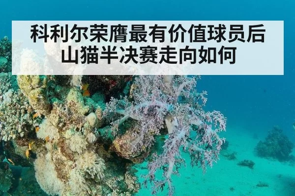 科利尔荣膺最有价值球员后山猫半决赛走向如何